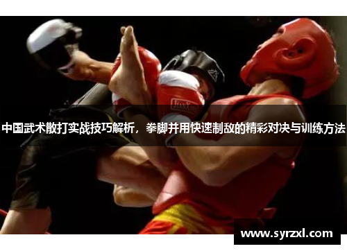 中国武术散打实战技巧解析，拳脚并用快速制敌的精彩对决与训练方法