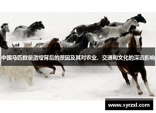 中国马匹数量激增背后的原因及其对农业、交通和文化的深远影响