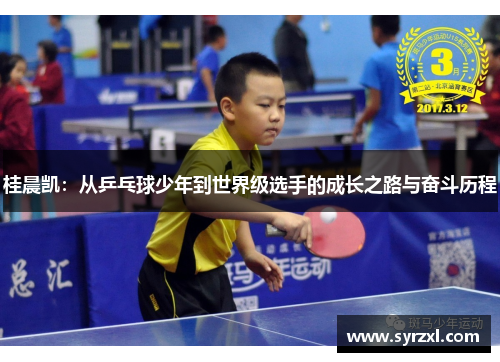 桂晨凯：从乒乓球少年到世界级选手的成长之路与奋斗历程